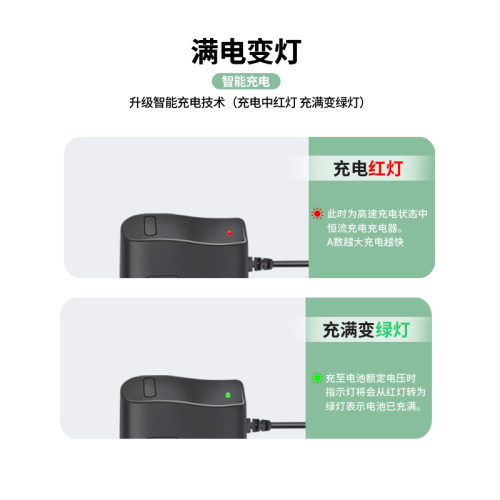 7.4V8.4V1A2A3A指纹锁筋膜枪美容注氧仪2串18650锂电池圆孔充电器 - 图1