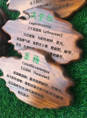 实木质铭牌防水标牌介绍树木牌装饰挂牌木质菜地植物果树景观标识