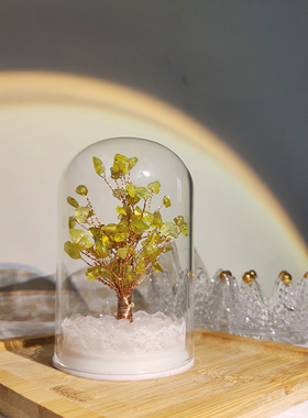 植物玻璃罩日系万圣节手工摆件