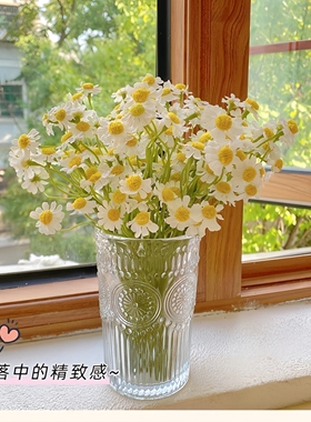 小雏菊ins风绿植装饰花卉