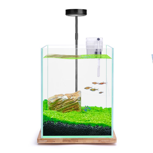 桌面水景缸水族箱小型水族箱造景小型水草缸全套DIY小水草鱼缸 - 图3