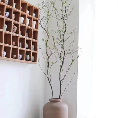 龙柳鲜切枝水培生根发芽四季水养绿植室内装饰年宵花昆明基地直发 - 图0