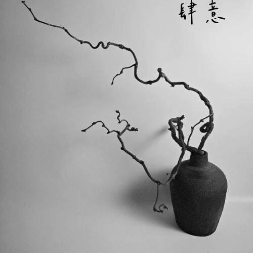 龙枣枝龙枣树龙枣爪鲜切枝水养干养干支树枝造型别致室内客厅插花 - 图0