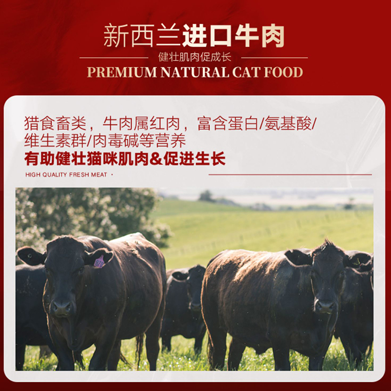 麦富迪弗列加特FPMR生骨肉全价主食冻干猫粮98%鲜肉含量480g猫粮 - 图1