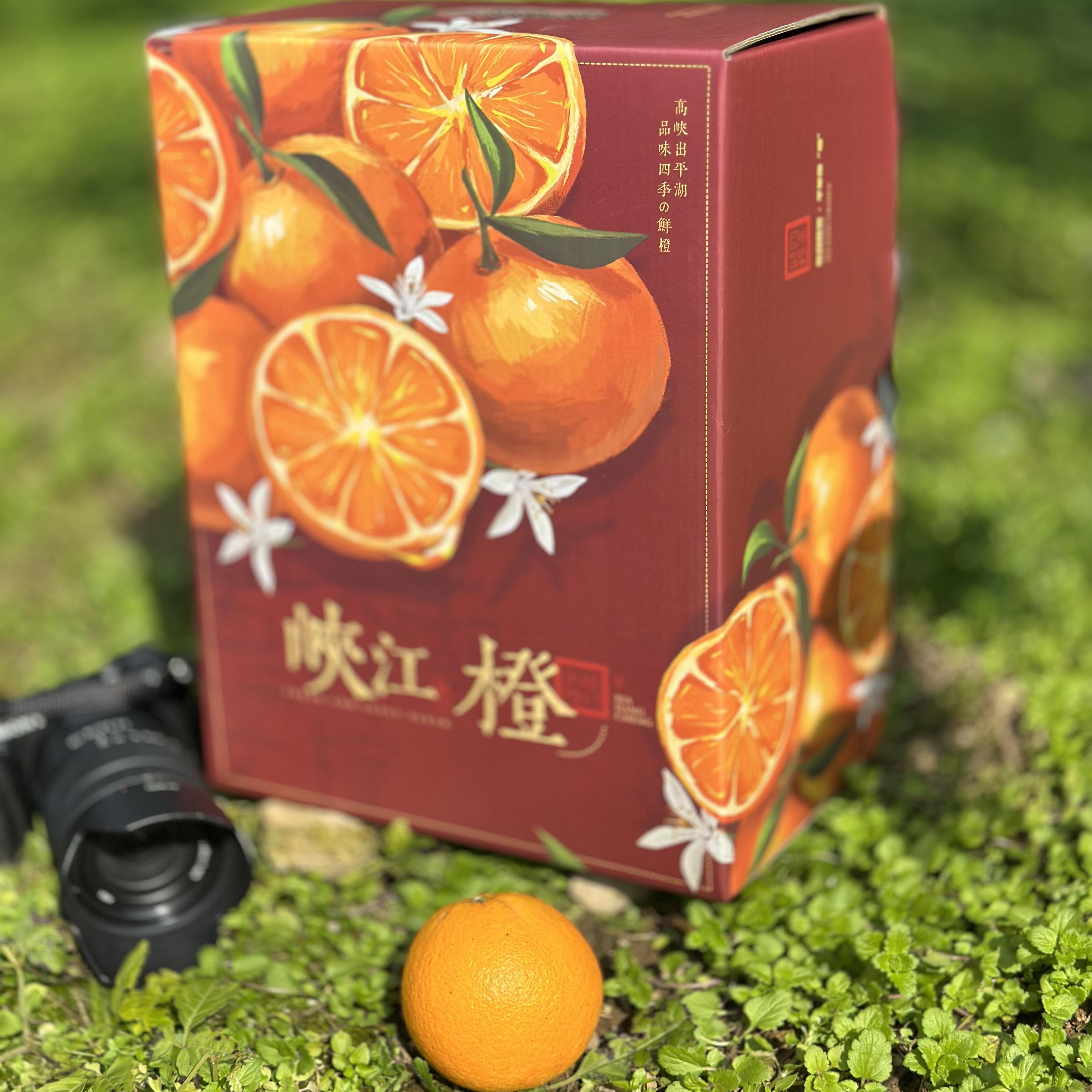 Beishu Yichang Juicy Oranges September Red Navel Oranges Seasonally Picked Fresh Oranges Fresh Fruit Juicy Pure Sweet Whole Box