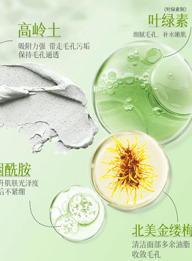 AOPY叶绿素净澈去黑头泥膜细腻毛孔去黑头净颜保湿涂抹清洁面膜