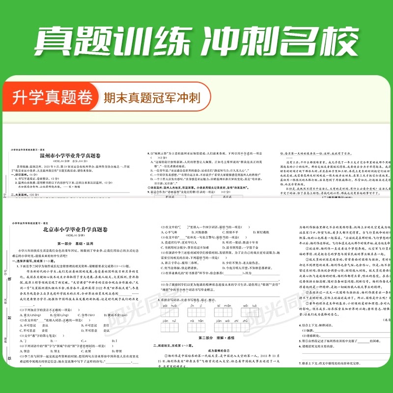 【科目任选】2024版阳光同学小学毕业升学系统总复习语文数学英语科学全套人教版小升初总复习小学六年级升初中真题卷知识点强化 - 图2