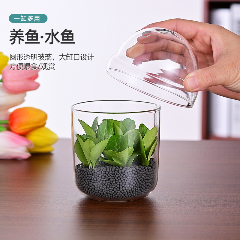 包邮透明花盆鱼缸带盖高硼硅耐热玻璃微景观造景多肉植物摆台花瓶 - 图1