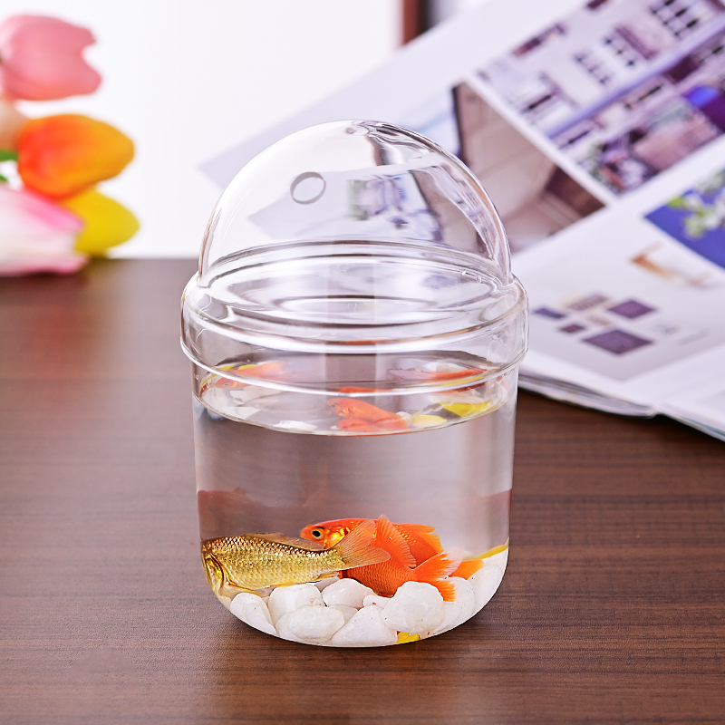 包邮透明花盆鱼缸带盖高硼硅耐热玻璃微景观造景多肉植物摆台花瓶 - 图0