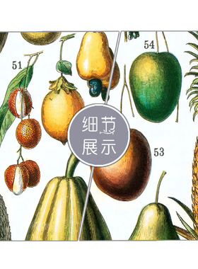 法式复古拉鲁斯百科水果图鉴海报生物学科普植物学装饰画学校挂画