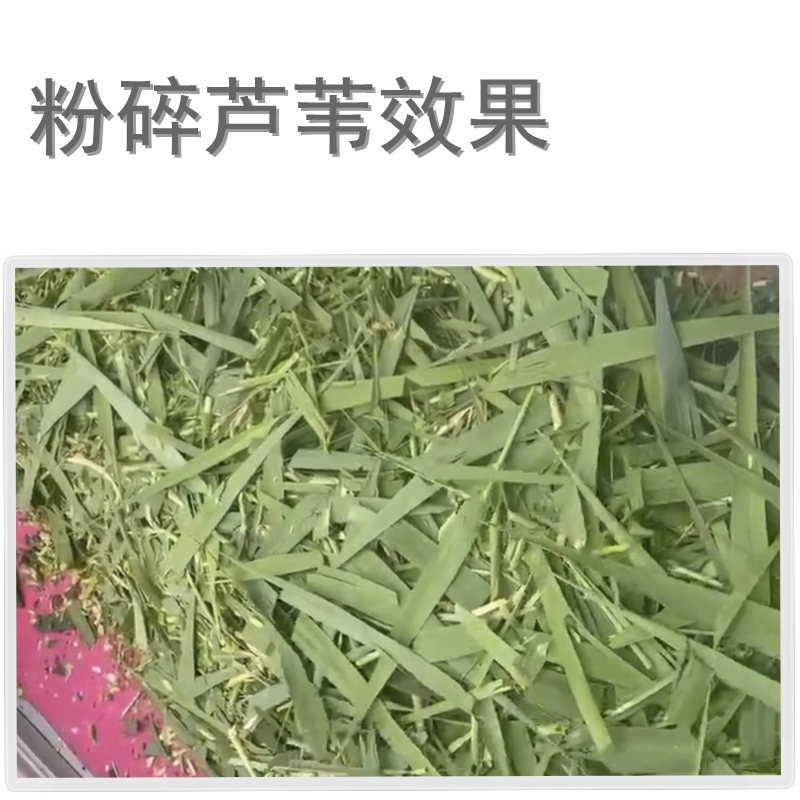 小型车载铡草碎枝机多功能便携式铡草揉丝机果树枝粉碎机牛羊养殖-图2