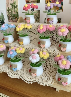 成品手工编织泡芙花盆栽创意礼物
