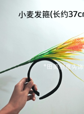 个性五谷小麦头饰礼物发箍