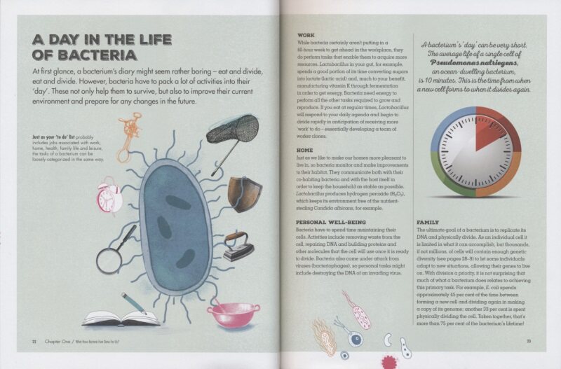 Meet Your Bacteria 遇见你的细菌 儿童英语百科全书 小学生课外英语阅读读物 认识微观世界细菌 了解人体细菌作用 英文原版进口 - 图2