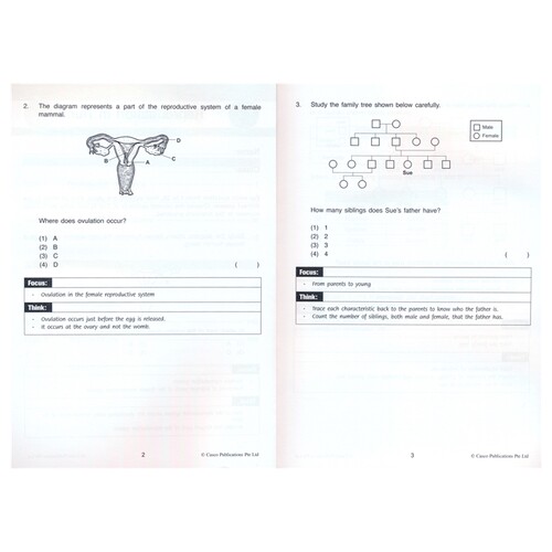 Casco Focus And Think Science Primary 3-6 新加坡科学 聚焦和思维 课外练习册 英文教辅 3-6年级 英文原版进口图书 - 图2