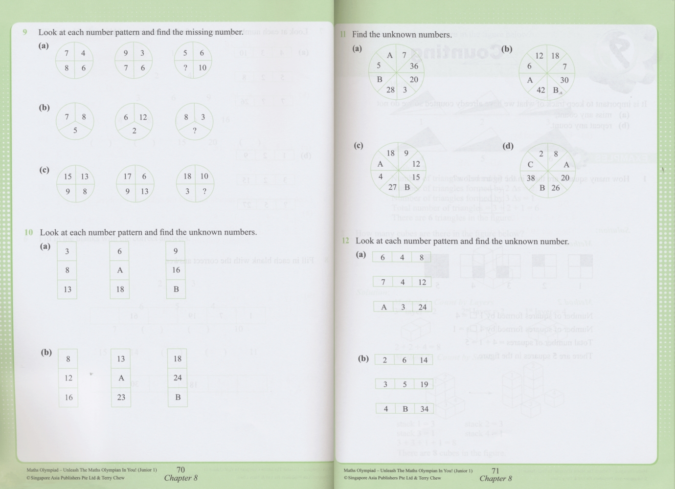 SAP Maths Olympiad & Olympiad Training Collection 新加坡数学奥数小学英文版练习题册教辅教材 奥数讲解+奥赛真题 11册 - 图1