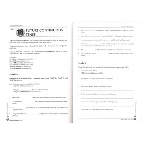 【自营】Casco English Grammar Usage & Practice For Lower Secondary新加坡英 初中英语语法用法与练习 英文原版进口图书 - 图0