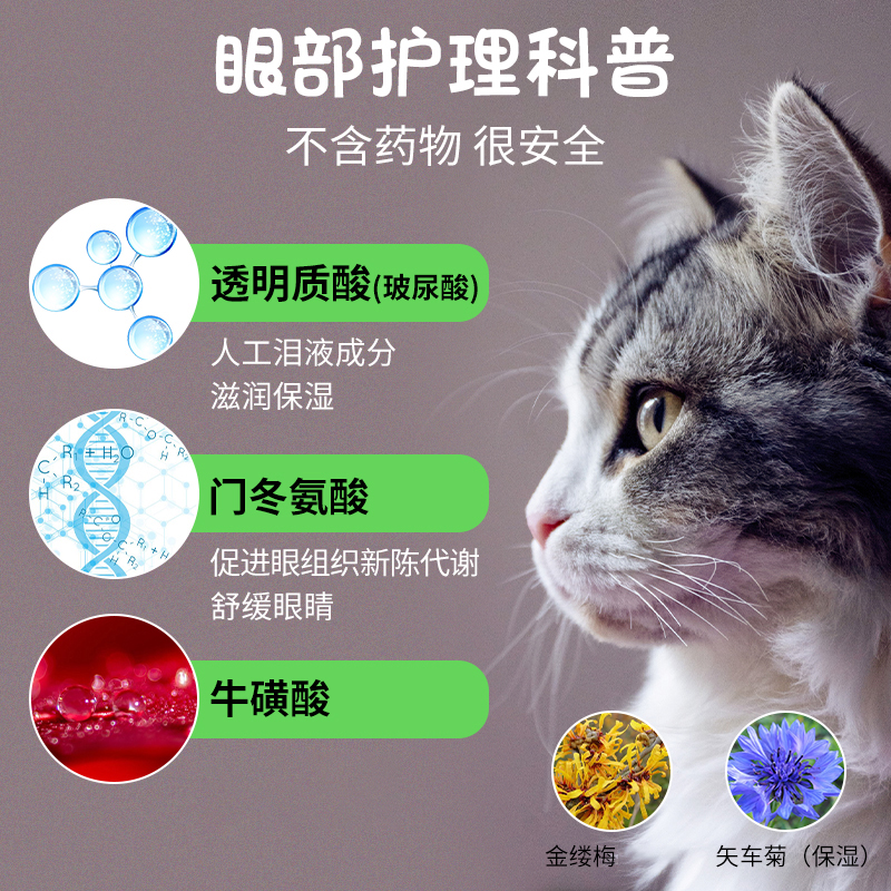 安琪儿宠物滴眼液狗狗眼药水泰迪比熊去泪痕猫眼药水角膜炎洗眼液 - 图1