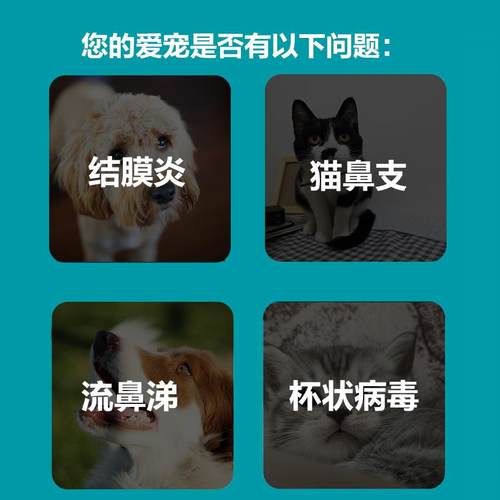 瑞德瑞支康恩诺沙星猫咪猫鼻支打喷嚏结膜炎角膜炎杯状泛昔滴眼液 - 图0