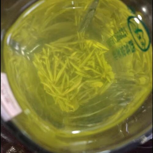 绿茶2026新茶毛尖嫩芽浓香清茶叶荼叶散装重庆酉阳宜居毛尖茶500g - 图1