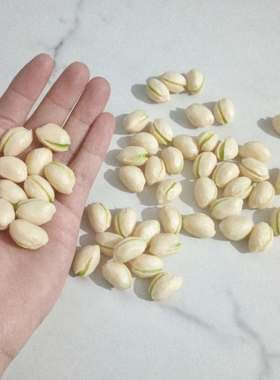 食物模型diy摆件食物道具装饰品