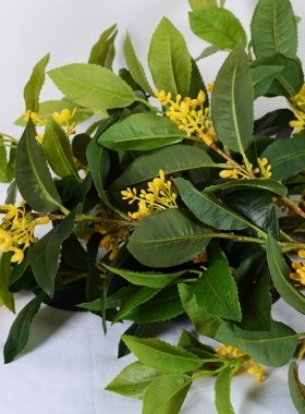 仿真桂花枝塑料插花外景拍摄绿植