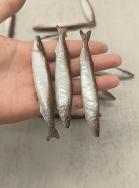 仿真小鱼干模型海鲜食物厨房玩具