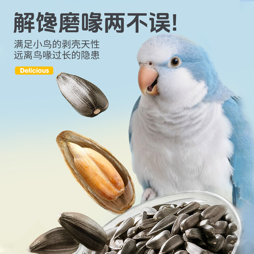 凯拉美油葵小瓜子零食黑珍珠瓜籽虎皮牡丹玄凤鹦鹉鸟粮鸟食非饲料 - 图1