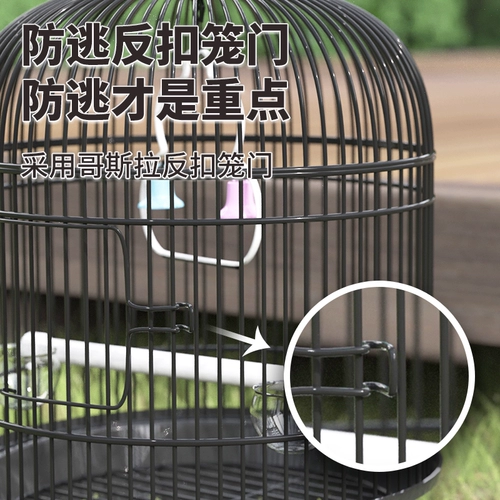 Птичья клетка попугай из руки клетки, чтобы принести домашнюю клетку для попугая, пион, пион, феникс, птица, круглая птица