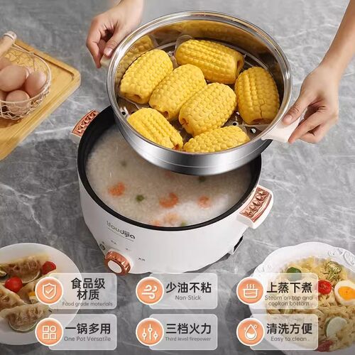 英规多功能电煮锅宿舍小电锅香港新加坡马来西亚家用电热火锅 - 图1