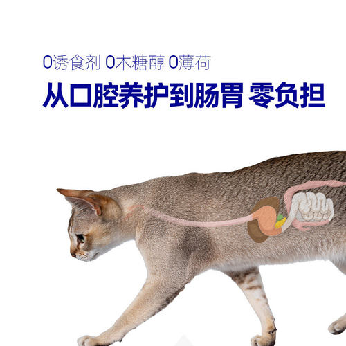 小壳猫咪漱口水可食用猫专用洁齿水宠物洁牙水口腔口臭清洁用品 - 图1