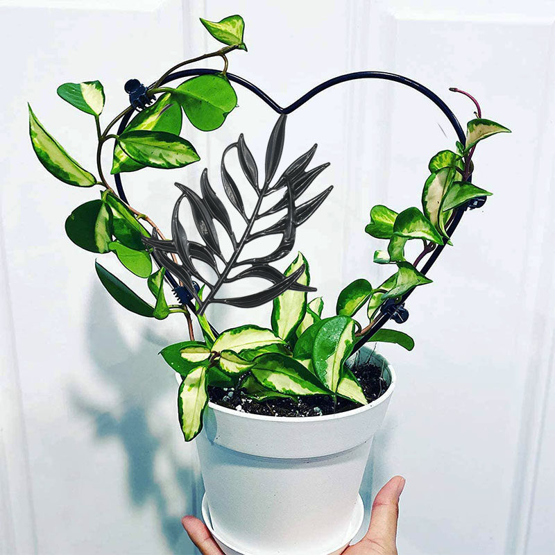 植物攀爬架 铁艺花盆支架 山乌龟铁线莲花架爬藤架蝴蝶兰固定杆,淘宝优惠券,粉丝福利购,淘宝优惠卷