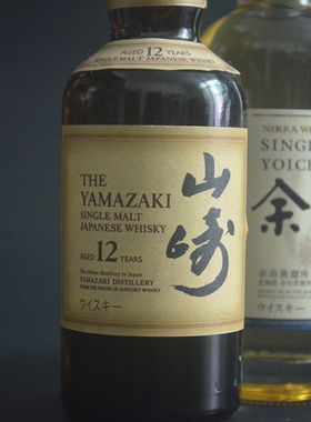 玻璃酒版小瓶子酒柜装饰收藏