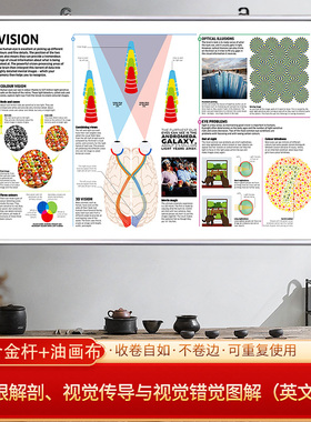视觉传导与视觉错觉图解生物学挂画科研用思维导图谱免打孔装饰画