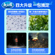 Use Blue Crucian Carp Youth Edition, there is no opponent within five meters