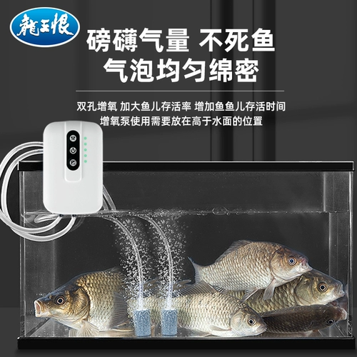 龙王恨 Зарядка портативного аэробного насоса на открытом воздухе