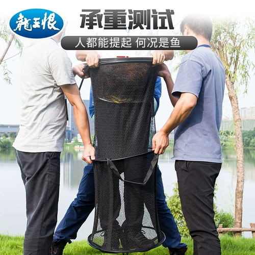 龙王恨 Новая алхимия по уходу за рыбой гастролируя по китайскому суставому уходу за рыбами.