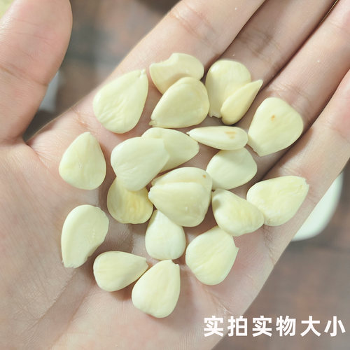 永秀堂 杏仁250g 南杏仁去皮北杏仁光中杏 南北杏 杏仁露 中药材 - 图0