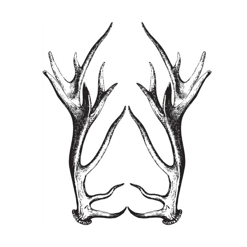 雄鹿季后赛生死战录像复盘