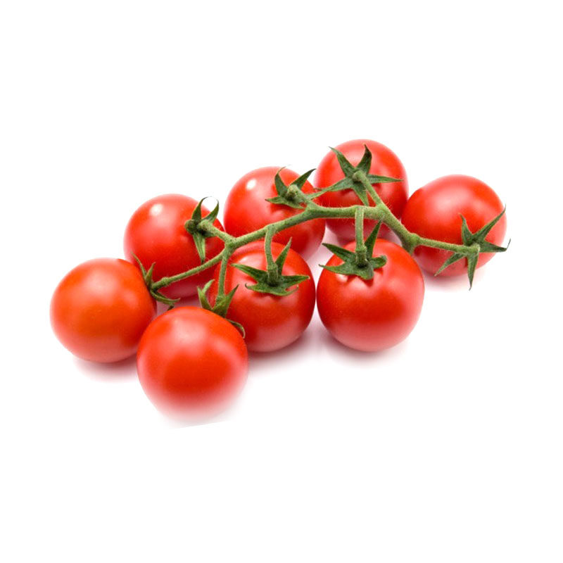 老一特卖 串红番茄 500g 新鲜串红西红柿 大番茄 串红小蕃茄 大果,淘宝优惠券,粉丝福利购,淘宝优惠卷