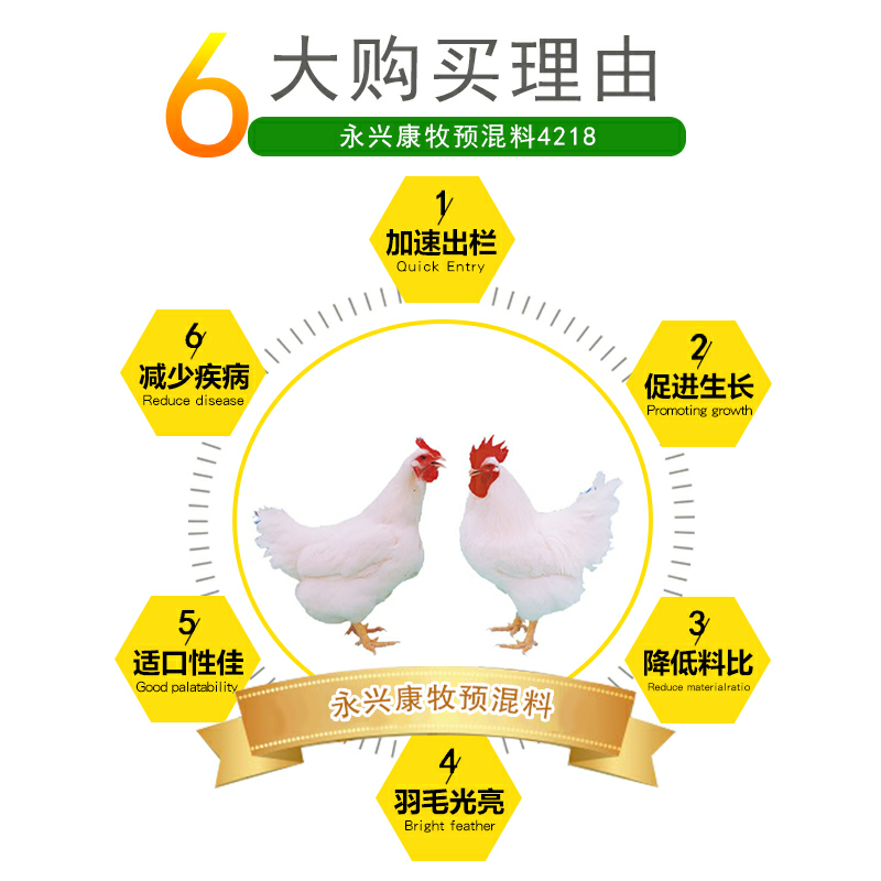 4%肉鸡中后期预混料三黄大肉食青年育肥土公鸡饲料添加剂永兴康牧 - 图0