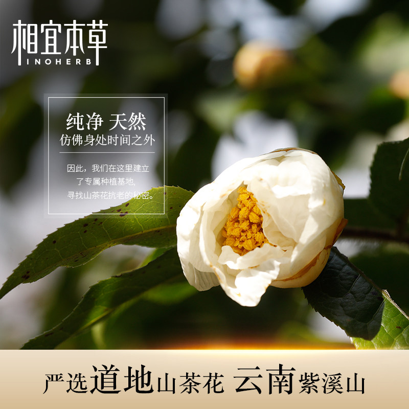 相宜本草焕活鲜养乳女保湿山茶花 相宜本草乳液/面霜