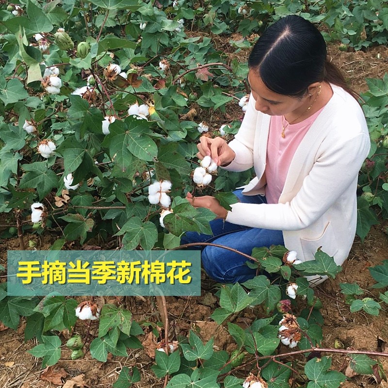 纯棉花被子手工棉被冬被加厚保暖10斤棉絮床垫被棉胎全棉被芯单人,淘宝优惠券,粉丝福利购,淘宝优惠卷