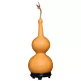 Тыква украшения Венван играет в гостиной гостиной