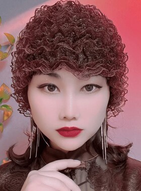 遮盖白发包头帽薄款发帽网纱蕾丝帽子假发帽秋冬