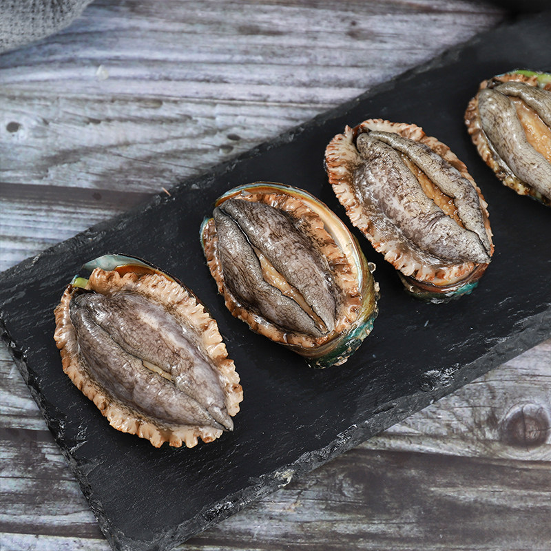 约8头500g超特大鲍鱼新鲜冷冻特大海鲜水产非即食捞汁饭顺丰包邮