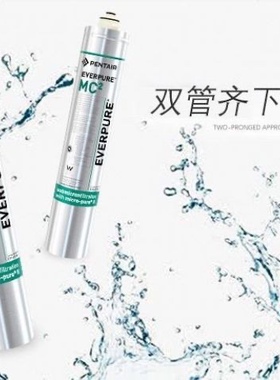 爱惠浦MC2双联商用净水器