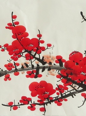 特价花鸟装饰画手绘国画梅花画