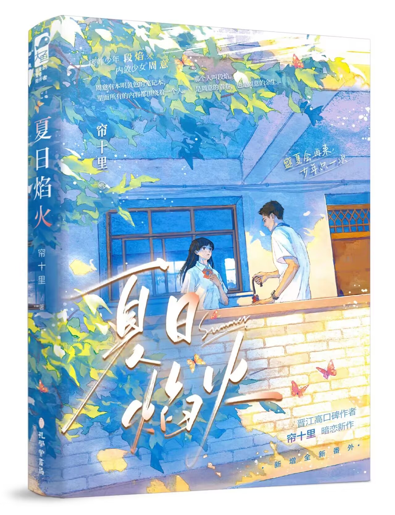 正版  夏日焰火1 帘十里著 新增全新番外 青春文学爱情校园暗恋双向救赎言情小说  春枝秋雨 作者 - 图0