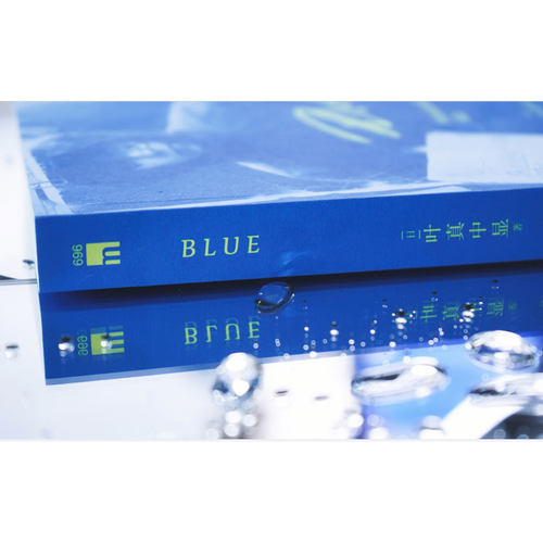 现货正版 Blue 叶真中显 书籍 小说 绝叫的作者 午夜文库系列日本社会派推理小说书侦探推理悬疑犯罪破案解谜小说 蓝色 新星出版社_虎窝淘